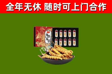 浦江县烟酒回收冬虫夏草礼盒.jpg